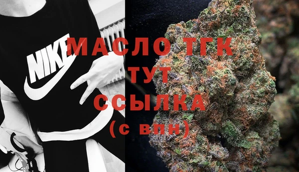 СК Медвежьегорск