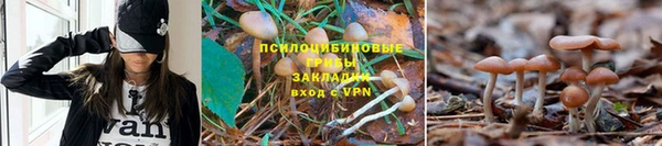 спиды Одинцово