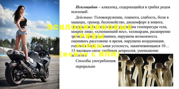 СК Медвежьегорск