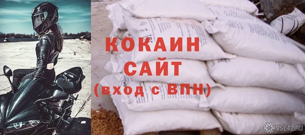 СК Медвежьегорск