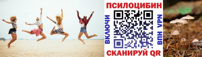 Псилоцибиновые грибы GOLDEN TEACHER Новокузнецк