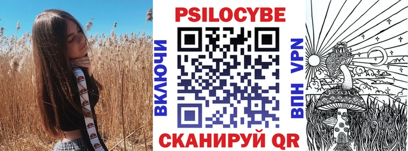 купить цена Новокузнецк Псилоцибиновые грибы MAGIC MUSHROOMS