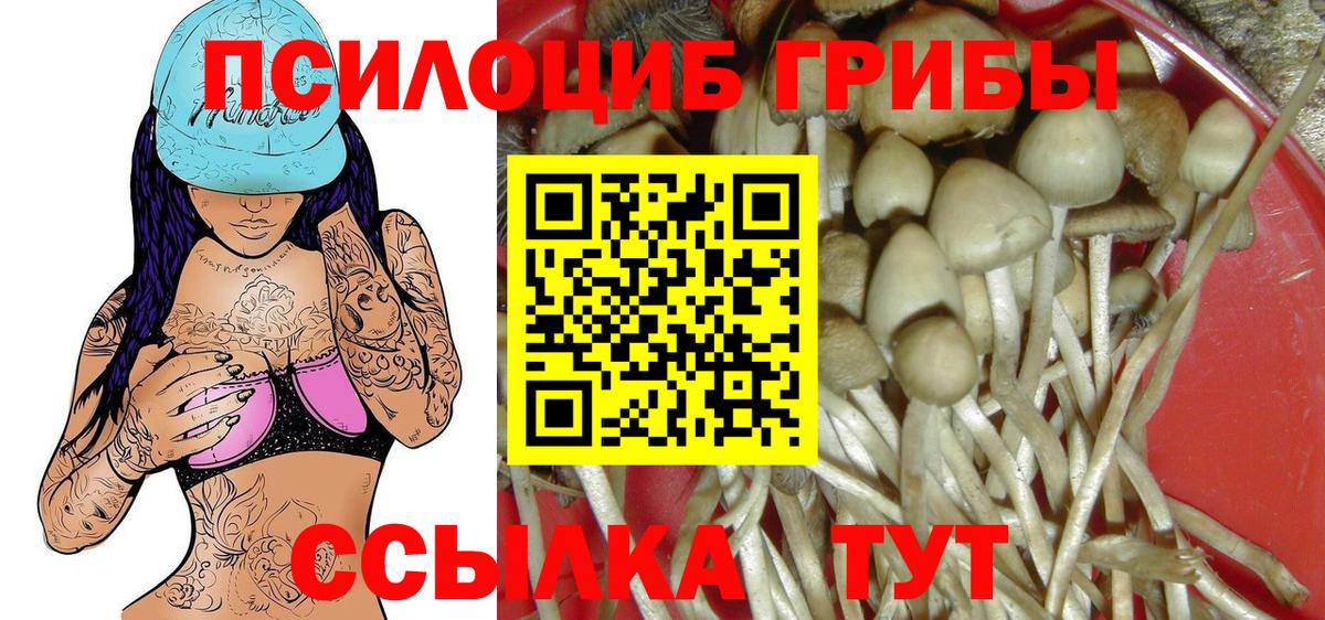 Новокузнецк  Псилоцибиновые грибы Magic Shrooms  Вход с VPN 
