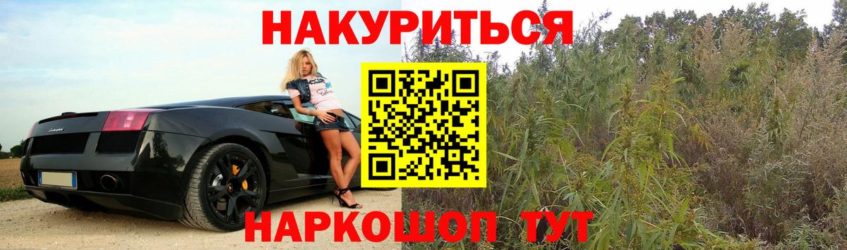 Бошки Шишки White Widow  Бошки Шишки план  Новокузнецк  Вход с VPN 